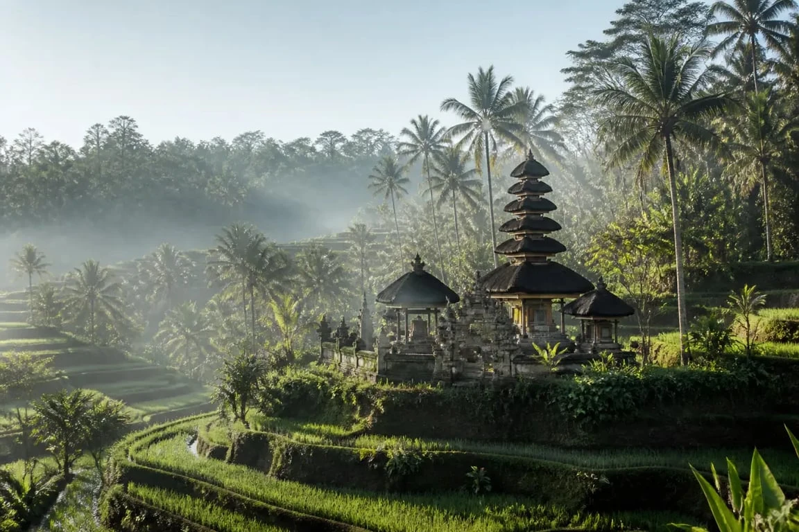 Séjour 18-25 ans à Bali : rizières d’Ubud et temple balinais au lever du jour