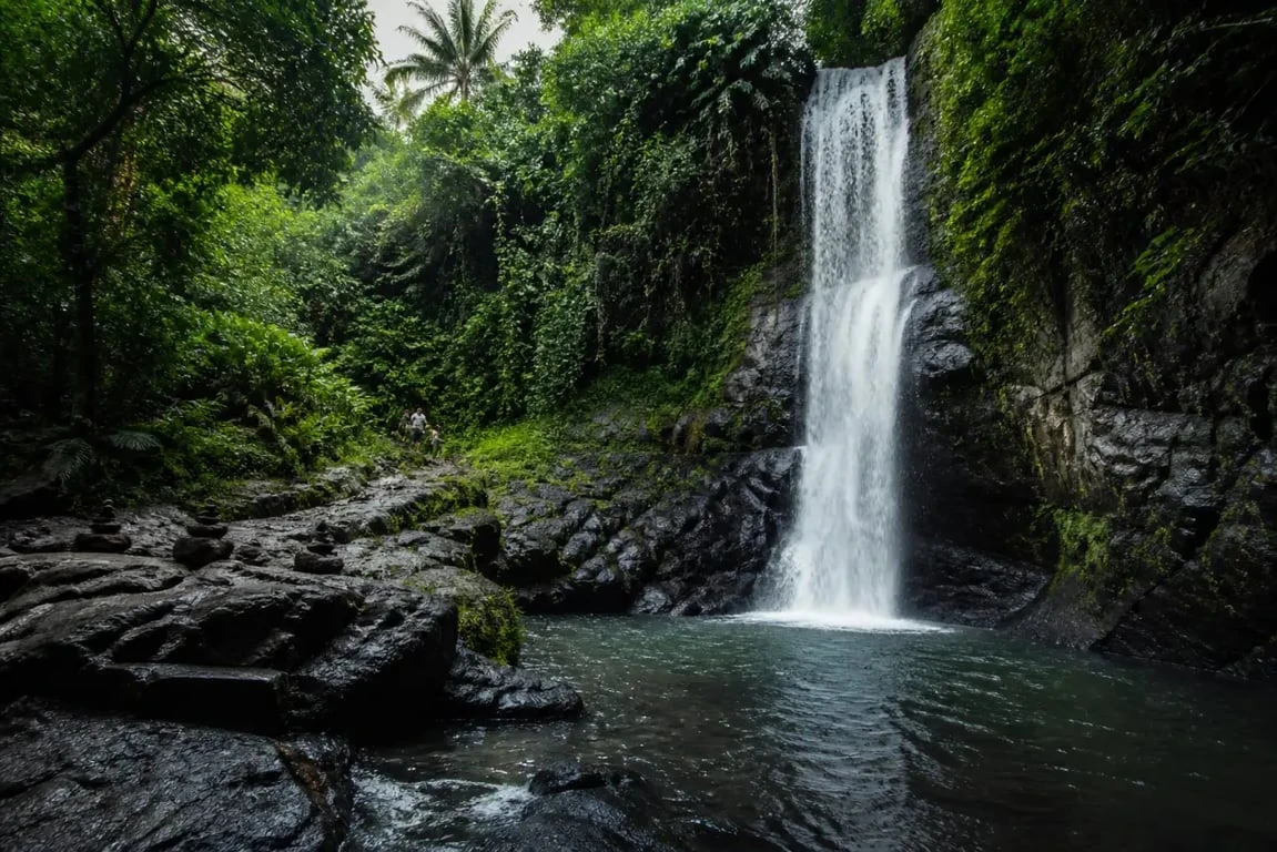Waterfalls in Ubud Bali : cascade tropicale luxuriante près d’Ubud avec sentier et bassin naturel
