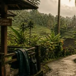 Meteo ubud bali : pluie l’après-midi, rizières vertes et scooter sous auvent