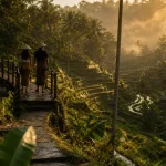 Ubud Bali photos : rizières Tegallalang à la golden hour, passerelle et feuilles