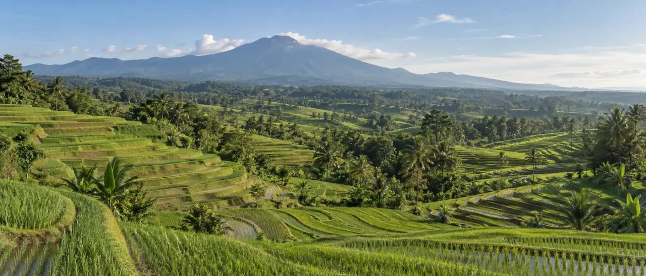 Rizières Bali de Jatiluwih et terrasses classées par l’UNESCO