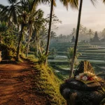 Rizières et temples à Ubud in Bali Indonesia, au calme