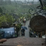 Webcam Bali Ubud : pluie, rizières et trafic routier